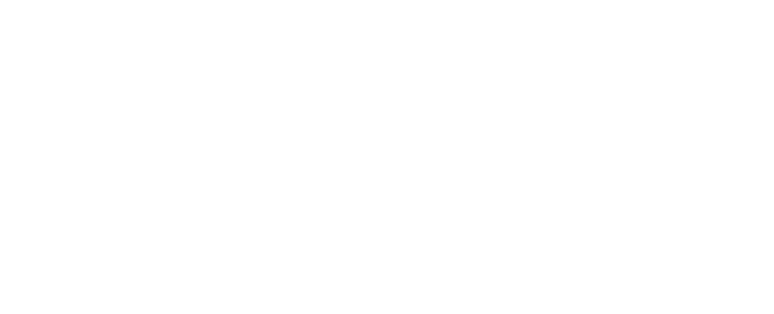 logo wit 2025 05 06 blanco